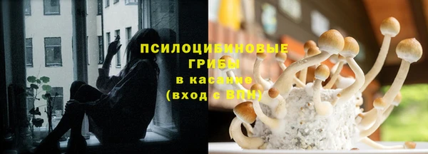 Альфа ПВП Алексин