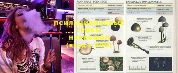 Альфа ПВП Алексин