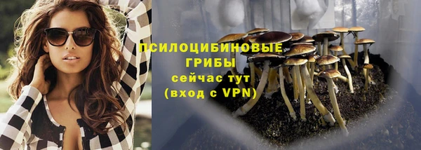 Альфа ПВП Алексин